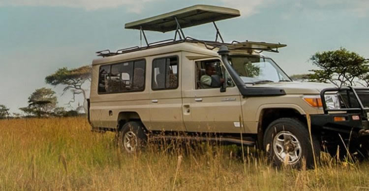 car rental kenya extented safari land cruiser