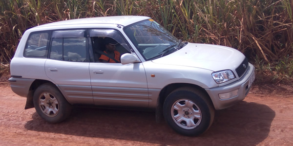 Toyota Rav4 Rental