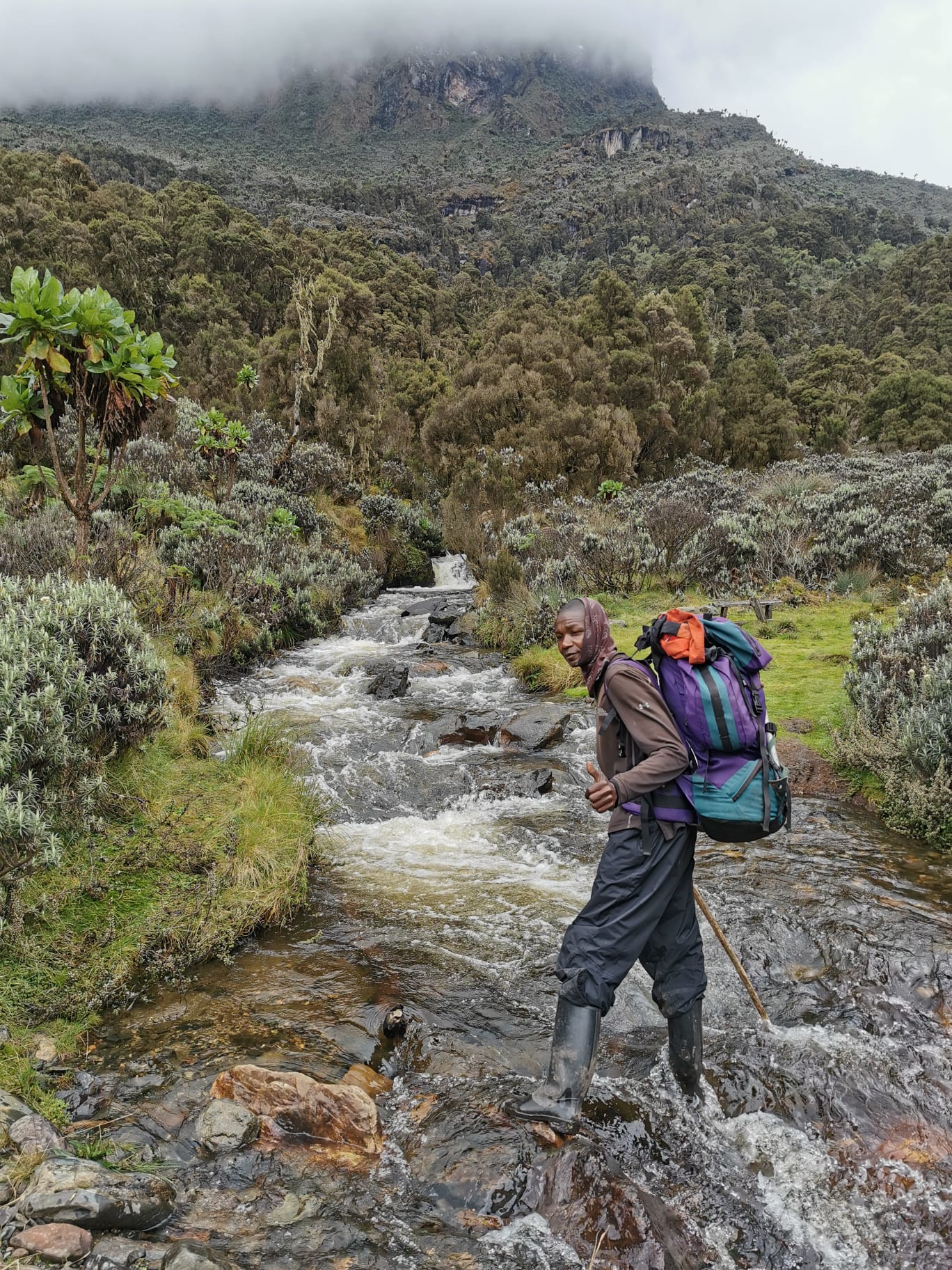 tracking the mountain Musaze in Rwanda on Golden monkey tracking