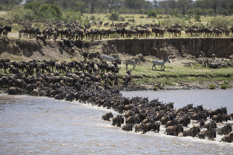 Self Drive Safaris in Kenya