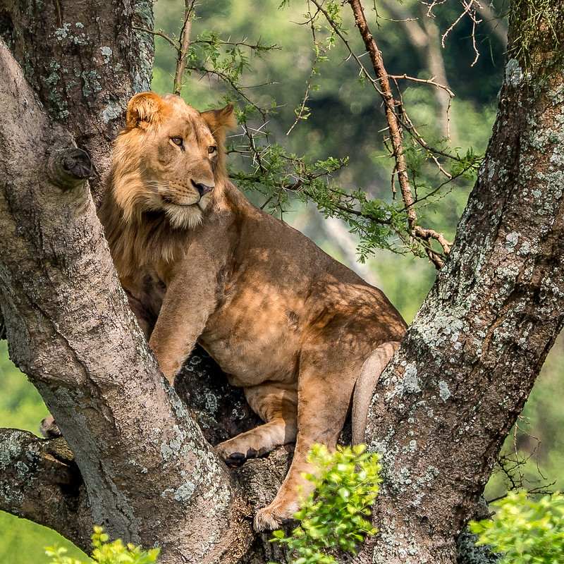 Queen Elizabeth National Park