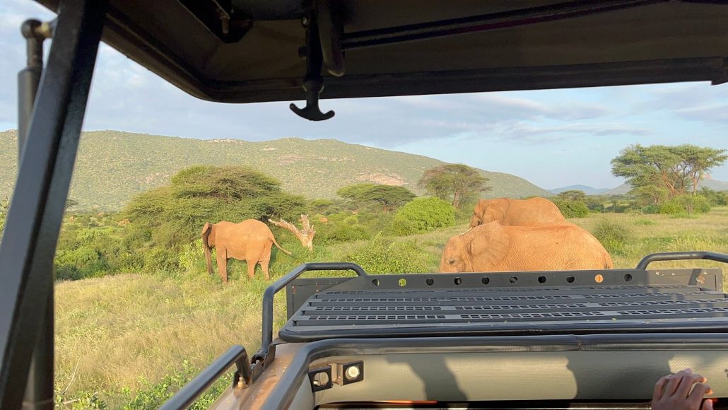 Car Rental East Africa -Car Rental Kenya