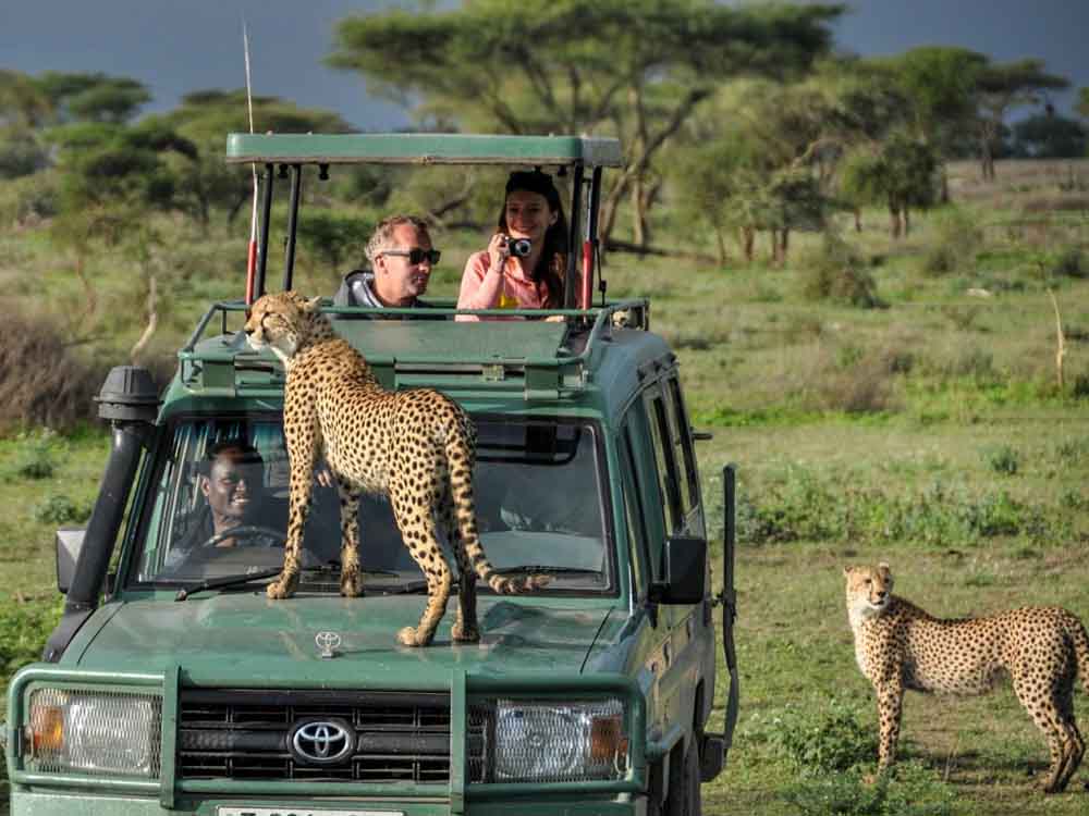 Car Rental With Driver in Botswana