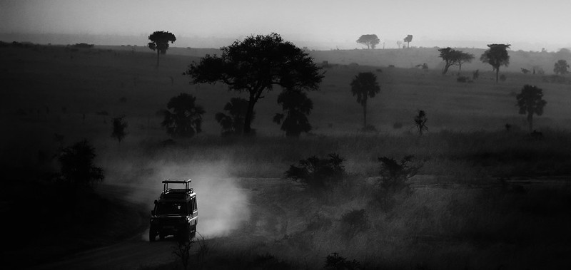 10 days Uganda self Drive Safari