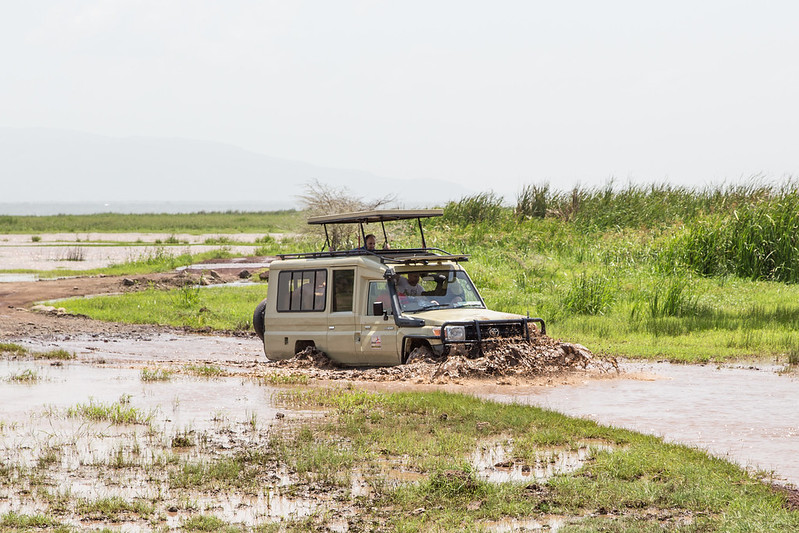 Best Time to Visit Lake Manyara National Park with 4x4 car rental Tanzania