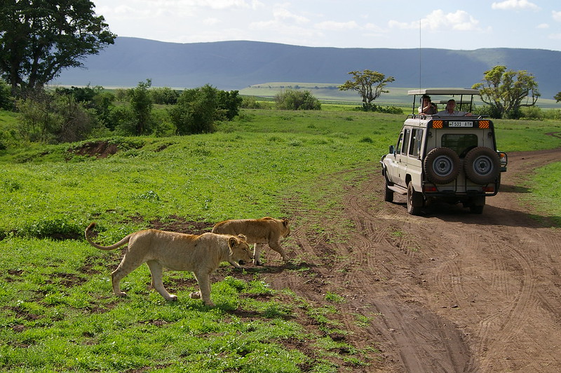 4x4 Ngorongoro Safari Car Rental Tanzania with pop up roof