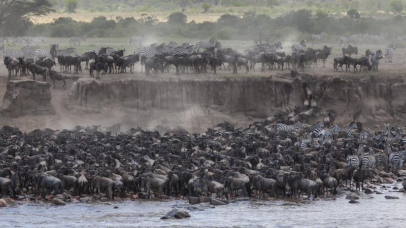 Serengeti National Park