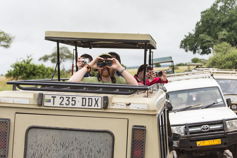 Self Drive Tanzania, 4x4 Car Rental in Tarangire National Park