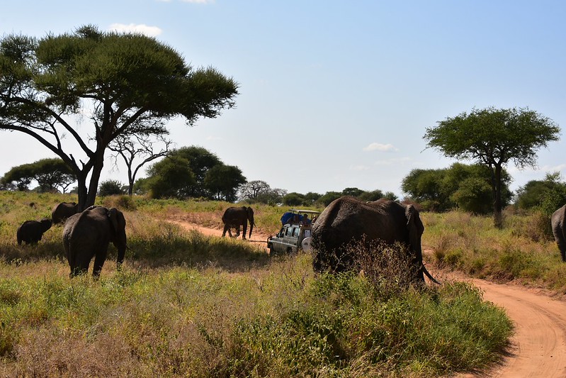 Car Rental Tarangire National Park
