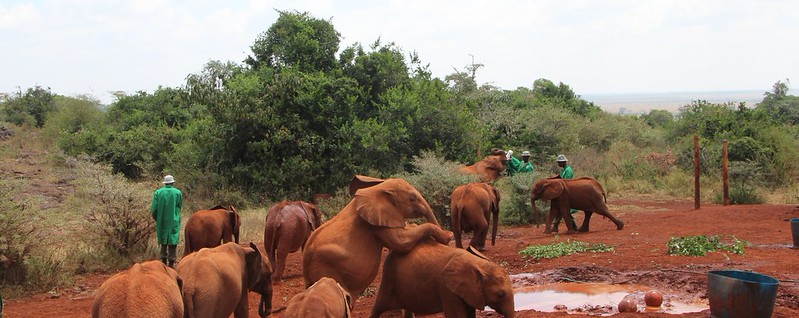 19 Days Kenya Tanzania Zanzibar holiday safari to Amboseli National Park, Masai Mara National Reserve, Serengeti National Park, Ngorongoro Crater