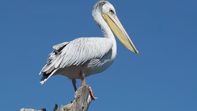 10 Days Kenya Wildlife & Diani Beach Self Drive Safari