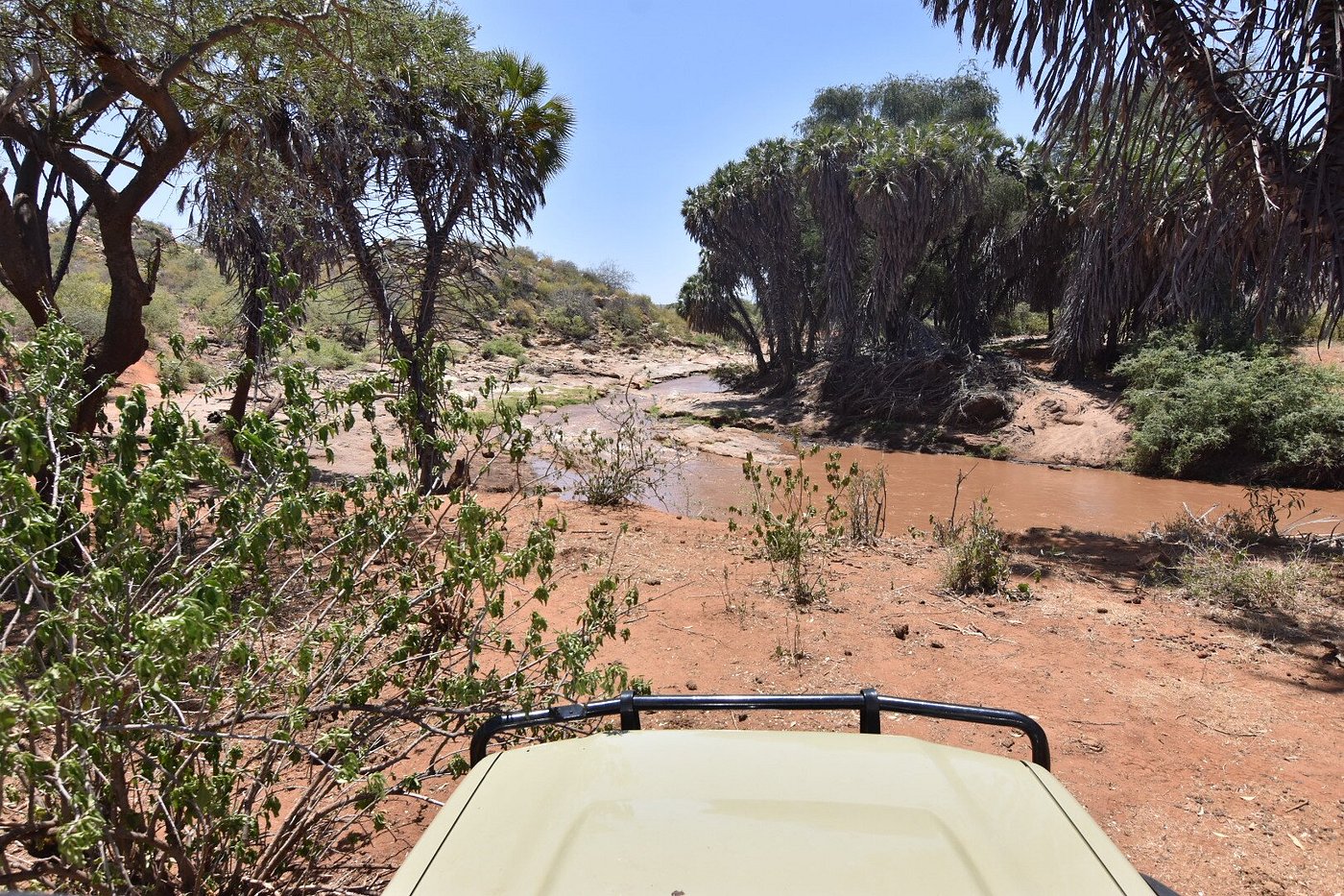 10 days Tanzania Self drive safari