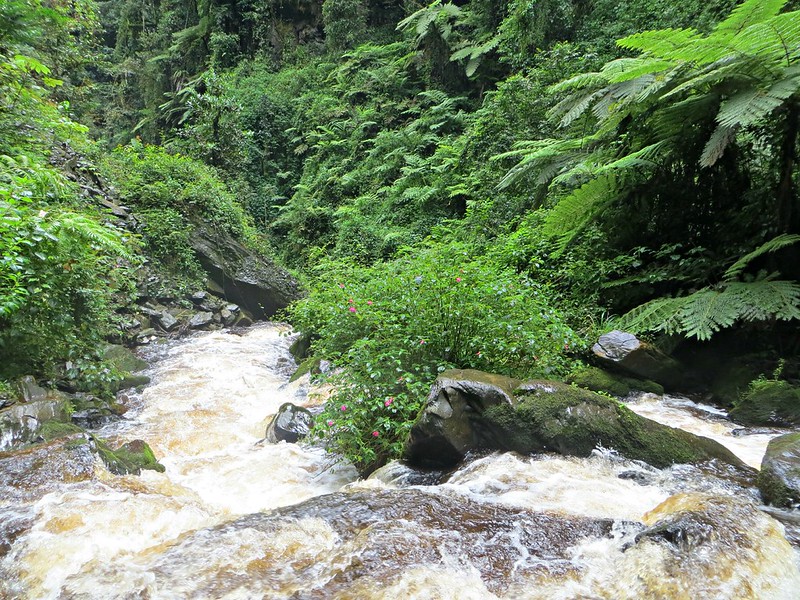 10 Days Self Drive Rwanda Car Rental to Isumo Falls