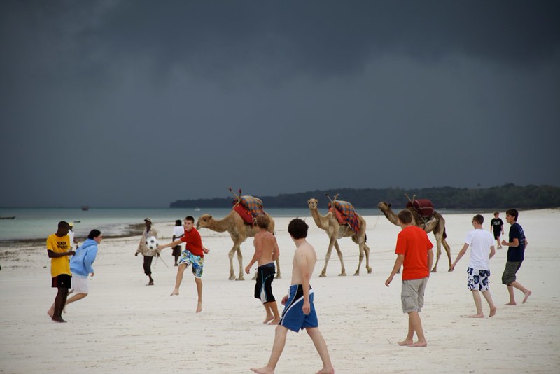 Olpejeta conservancy Vs Masai mara Vs Diani Beach safari 10 days