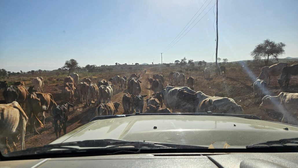 25 days Self Drive Kenya Safari roadtrip itinerary