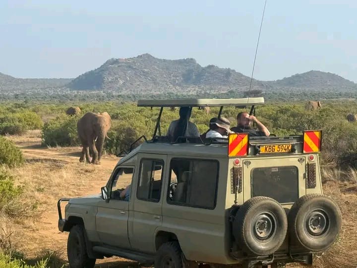Car rental with pop up roof Uganda Rwanda Kenya Tanzania Burundi East Africa