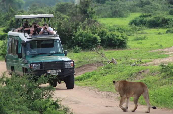 4x4 Land cruiser with pop-up roof with Driver guide