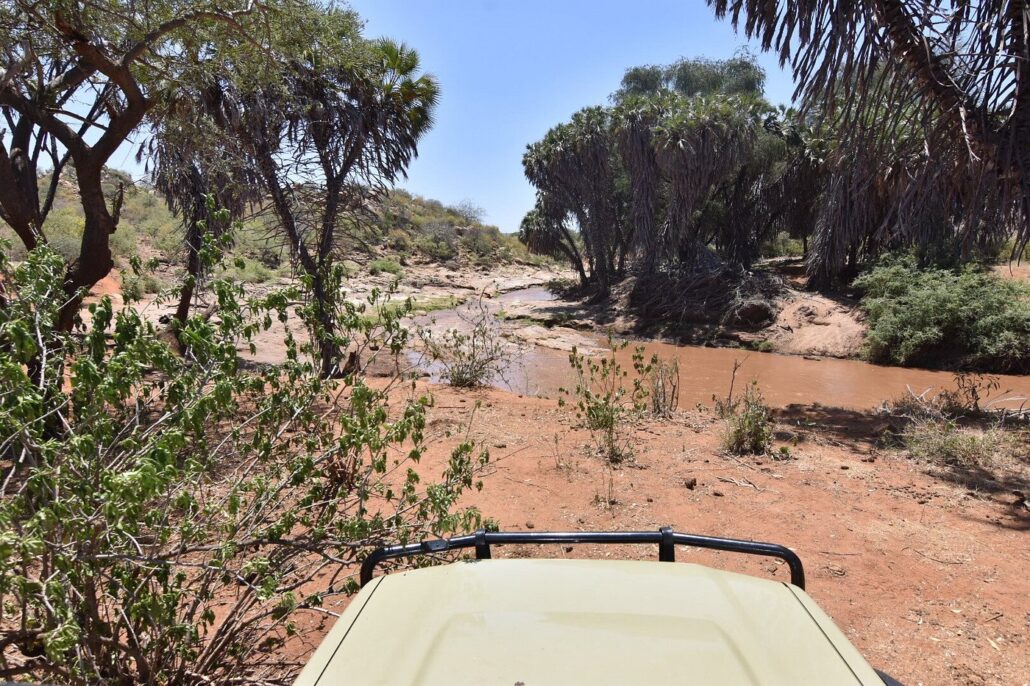 Car Rental Olpejeta Conservancy Self Drive