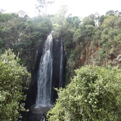 Attractions in aberdare National Park, Self drive car hire with Car Rental 4x4